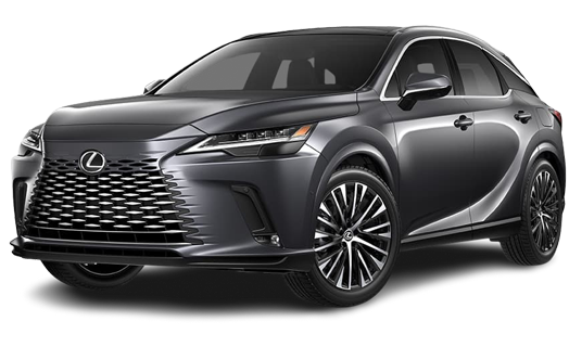 RX HYBRID | 