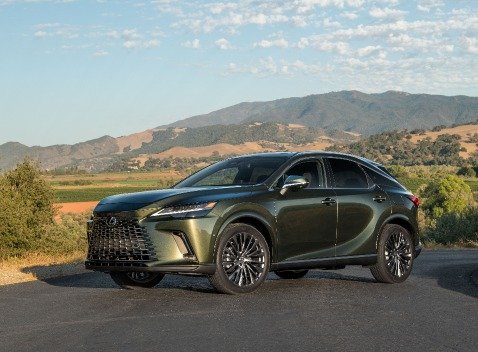 RX HYBRID