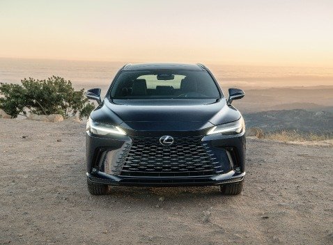 RX HYBRID